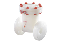 Control Lined Valves